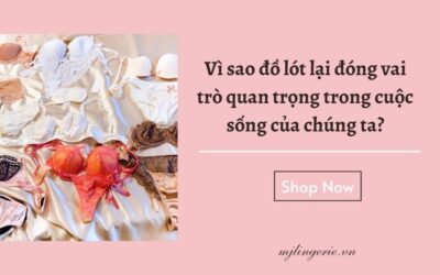 Vì sao đồ lót lại đóng vai trò quan trọng trong cuộc sống của chúng ta?